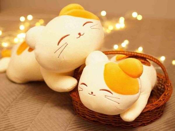 Why Cuddle Pillows Deserve a Spot in Every Bedroom