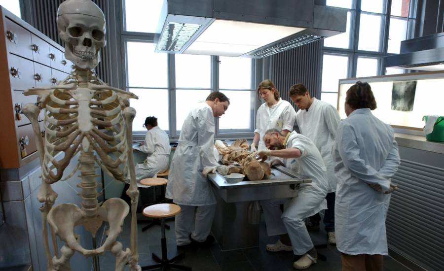 Understanding the Screening Process for Body Donation