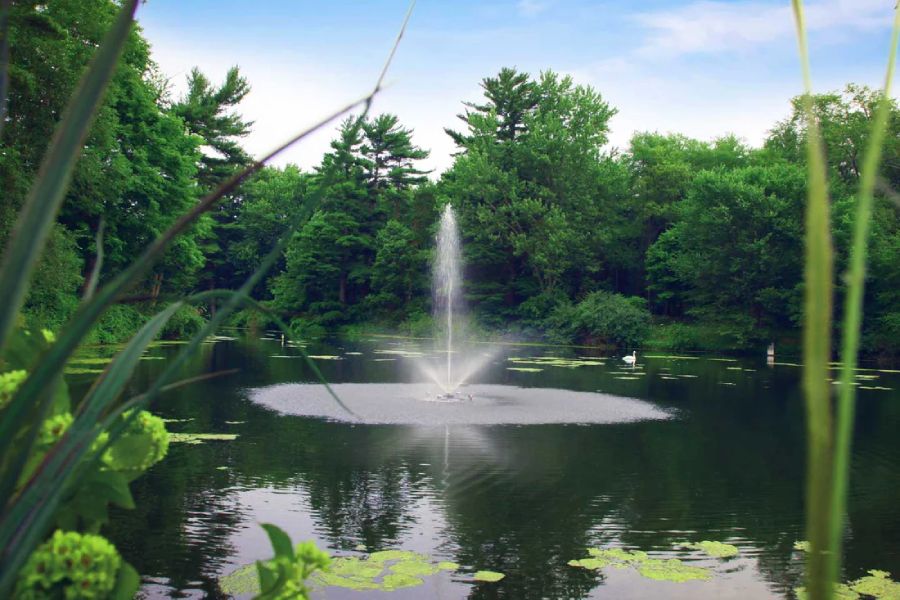 Avoiding Common Mistakes When Adding a Fountain to Your Pond