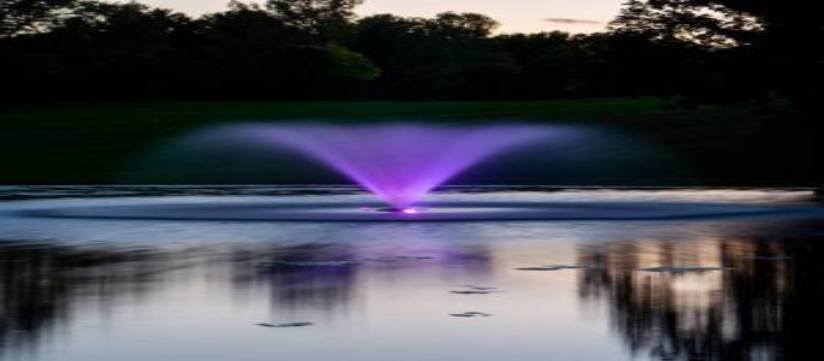 How a Floating Pond Fountain Works and the Pump it Needs
